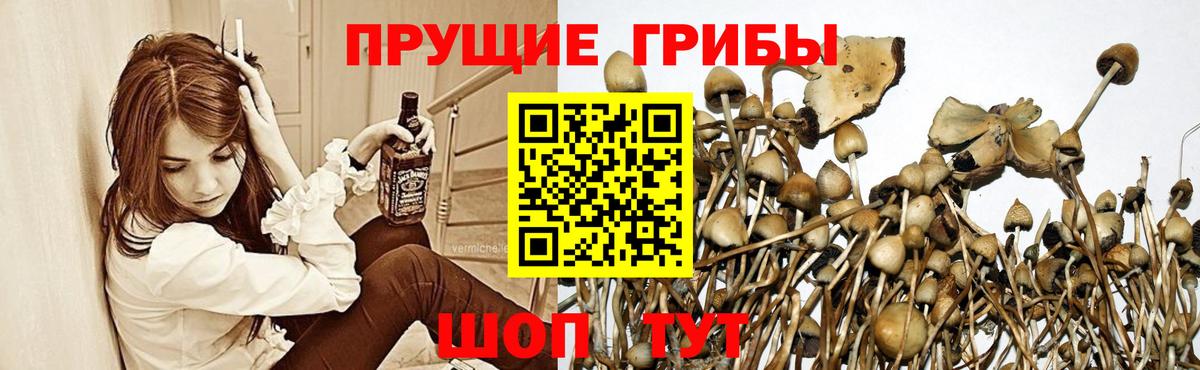 Галлюциногенные грибы MAGIC MUSHROOMS Спасск-Дальний
